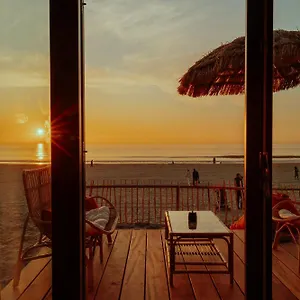 Venti Zandvoort